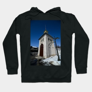 Dundurn Castle Aviary Hoodie